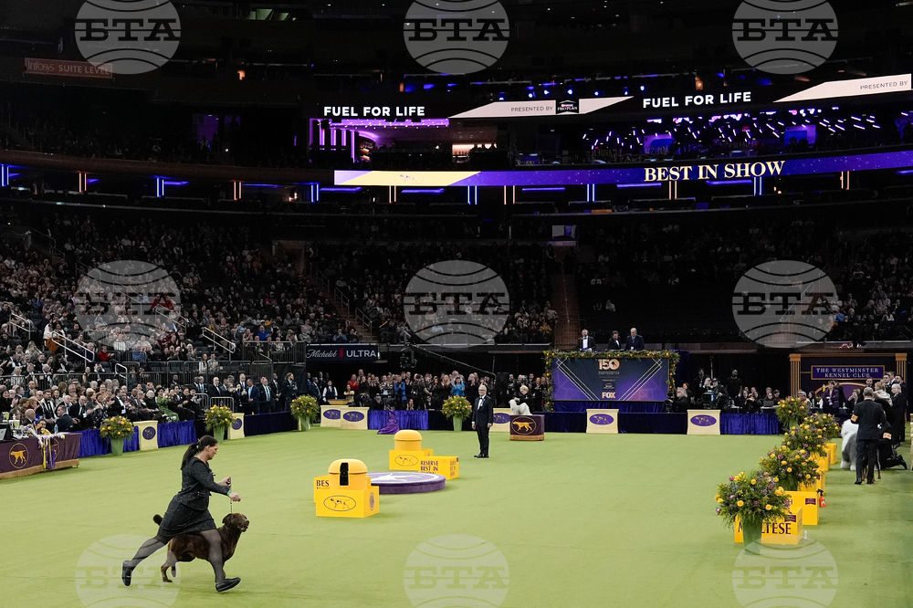 Westminster Dog Show