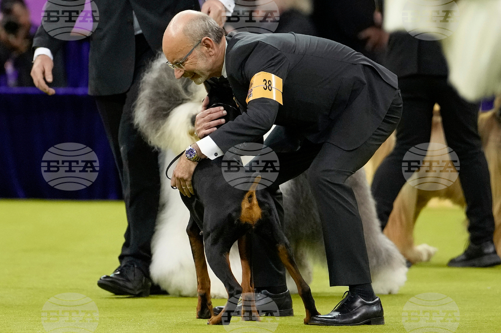 Westminster Dog Show