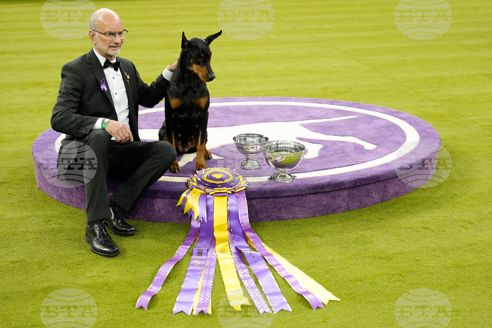Westminster Dog Show