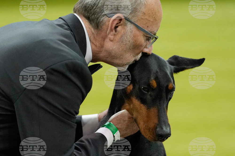 Westminster Dog Show