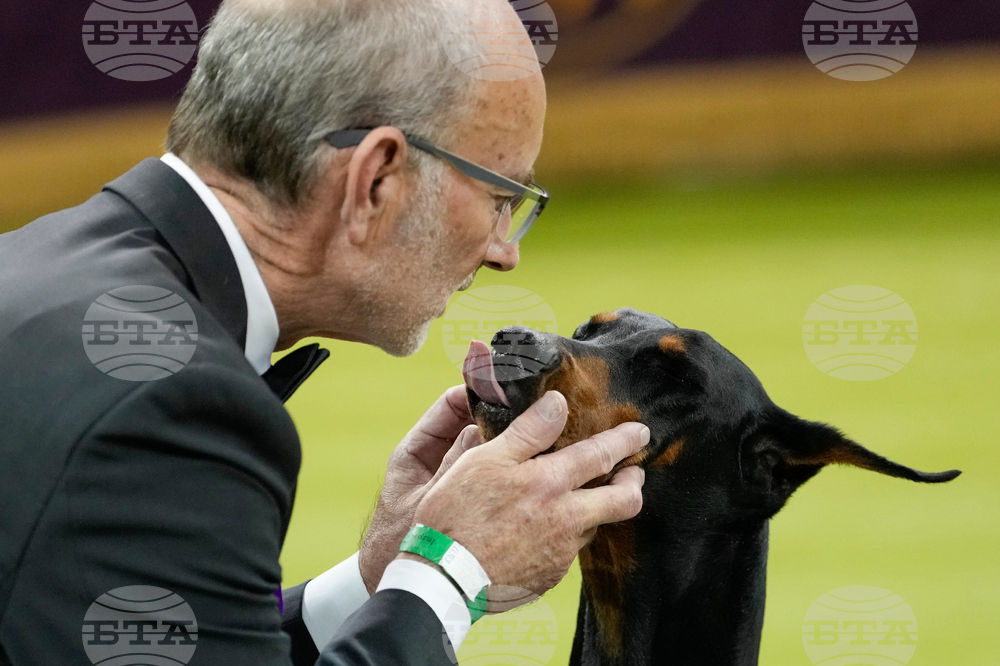 Westminster Dog Show