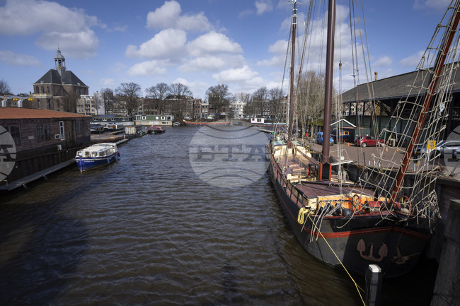 Канали в Амстердам ще бъдат оборудвани със спасителни стъпала за котки