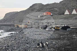 Антарктида - остров Ливингстън - изглед