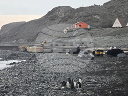 Antarctica - Livingston Island - view
