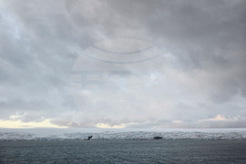 Antarctica - Livingston Island - view