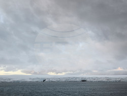 Antarctica - Livingston Island - view