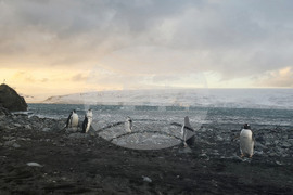 Antarctica - Livingston Island - view