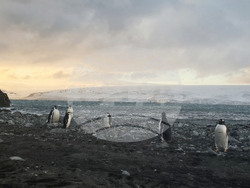 Antarctica - Livingston Island - view