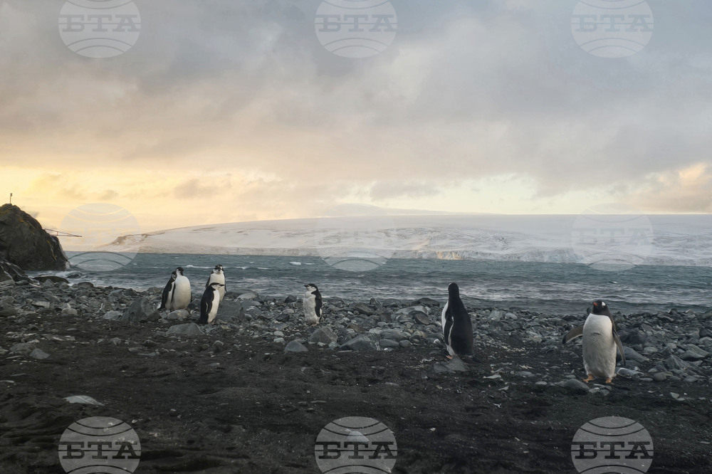 Bulgarian Antarctic Research Vessel to Visit Deception Island