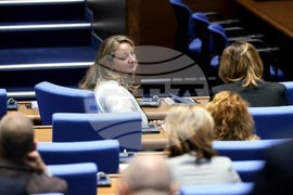 Парламент - заседание