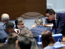 Парламент - заседание