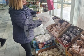 Добрич - Борса за семена и посадъчен материал