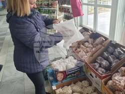 Добрич - Борса за семена и посадъчен материал