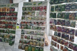 Добрич - Борса за семена и посадъчен материал