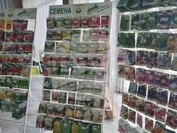 Добрич - Борса за семена и посадъчен материал