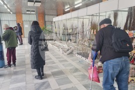 Добрич - Борса за семена и посадъчен материал