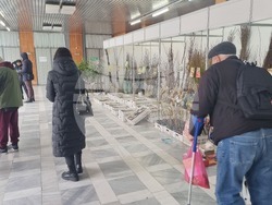 Добрич - Борса за семена и посадъчен материал