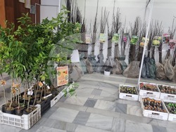 Добрич - Борса за семена и посадъчен материал