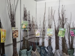 Добрич - Борса за семена и посадъчен материал