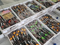 Добрич - Борса за семена и посадъчен материал