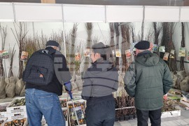 Добрич - Борса за семена и посадъчен материал