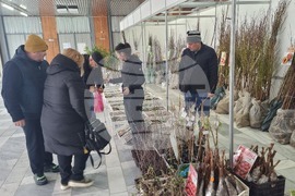 Добрич - Борса за семена и посадъчен материал