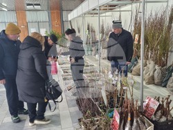 Добрич - Борса за семена и посадъчен материал