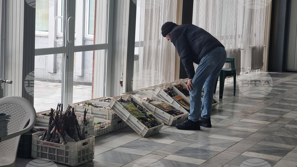Добрич - Борса за семена и посадъчен материал
