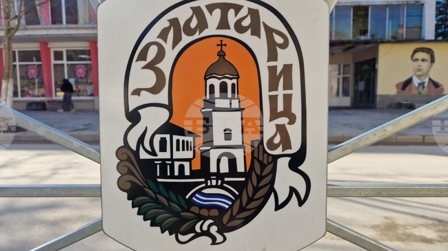 Общинският съвет в Златарица ще разгледа годишния план за ползване на дървесина от общинските горски територии