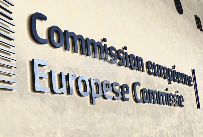 ЕК потвърди, че работи за връщането на незаконно пребиваващите в ЕС афганистанци обратно в родината им