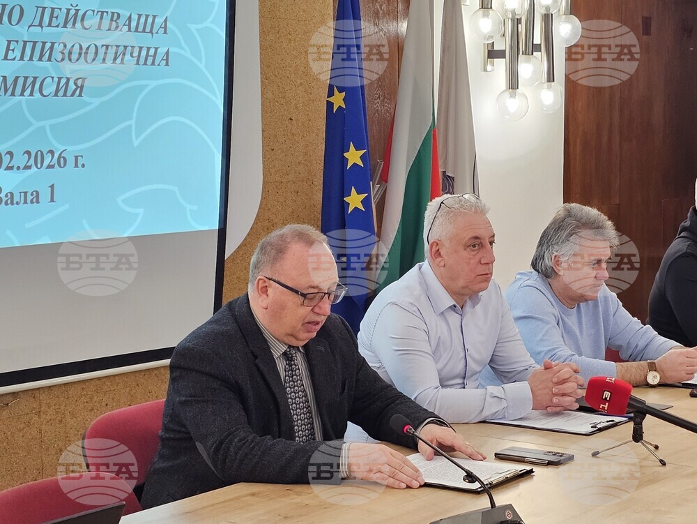 Няма случаи на африканска чума по свинете в Русенско, но има установени антитела на заболяването в проби от диви животни, отчетоха от ОДБХ