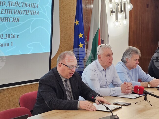 Няма случаи на африканска чума по свинете в Русенско, но има установени антитела на заболяването в проби от диви животни, отчетоха от ОДБХ