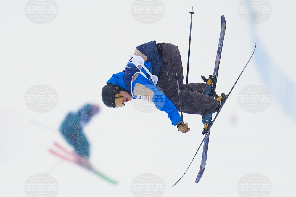 Milan Cortina Olympics Freestyle Skiing