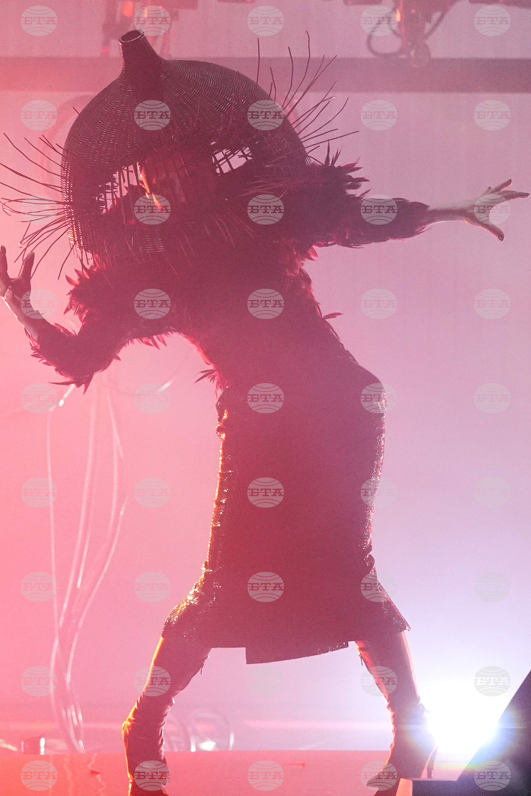 Top Vertical Photos Photo Gallery