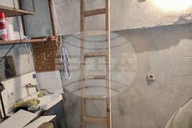 Велико Търново - повдигане на обвинения - изтезания на животни