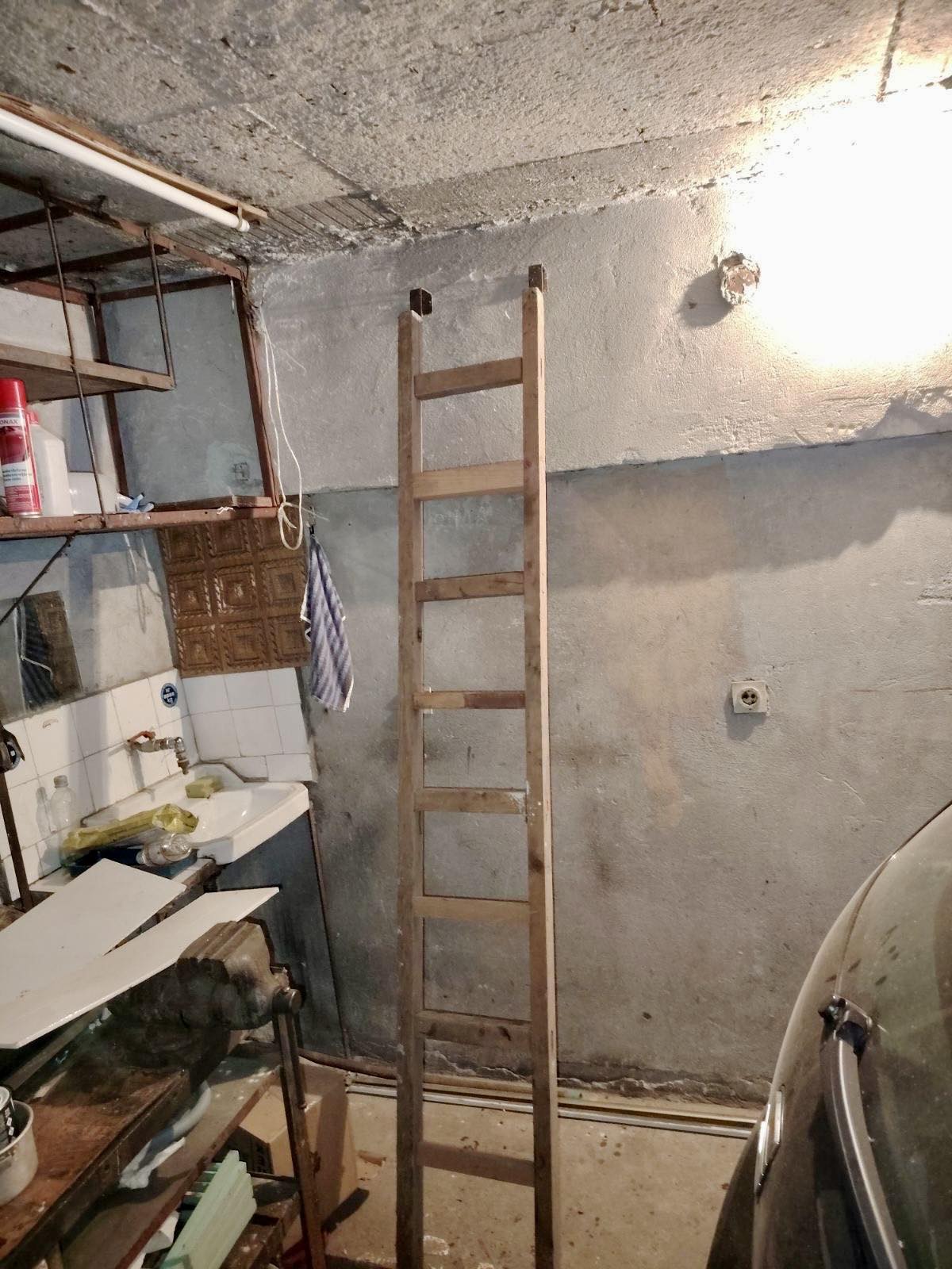 Велико Търново - повдигане на обвинения - изтезания на животни