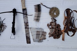 Велико Търново - повдигане на обвинения - изтезания на животни