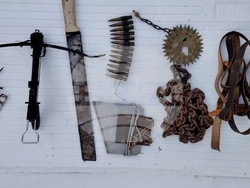 Велико Търново - повдигане на обвинения - изтезания на животни