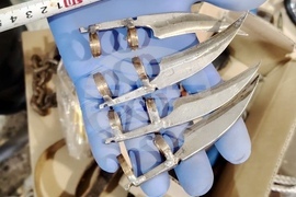 Велико Търново - повдигане на обвинения - изтезания на животни