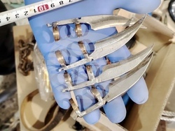 Велико Търново - повдигане на обвинения - изтезания на животни