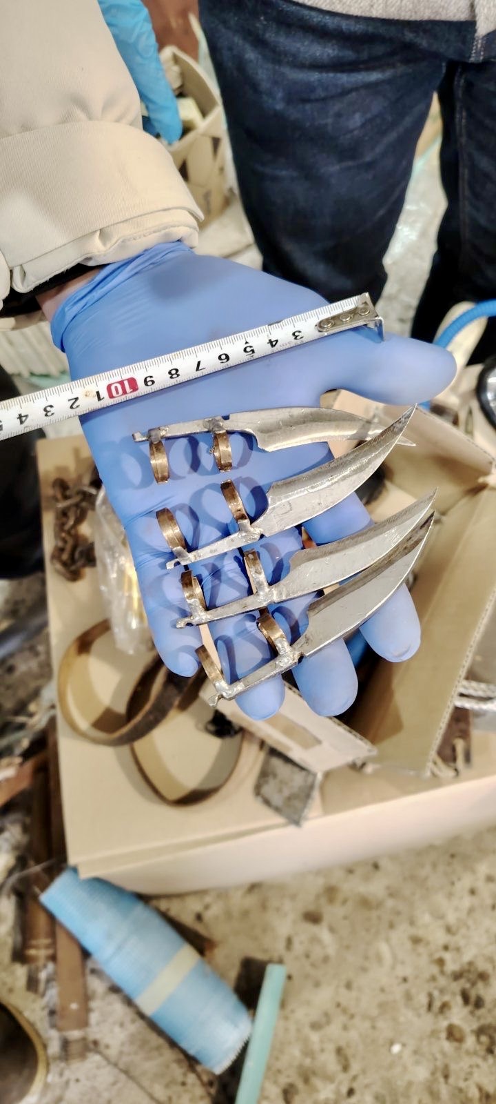 Велико Търново - повдигане на обвинения - изтезания на животни