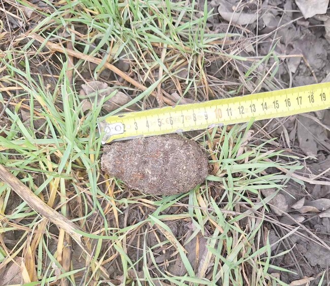 Специализиран екип от състава на Военноморските сили унищожи силно корозирала ръчна граната, открита в гараж в Бургас