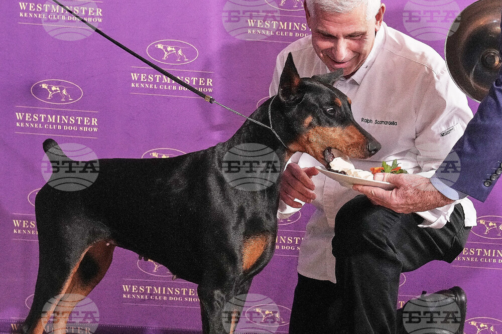 Westminster Dog Show