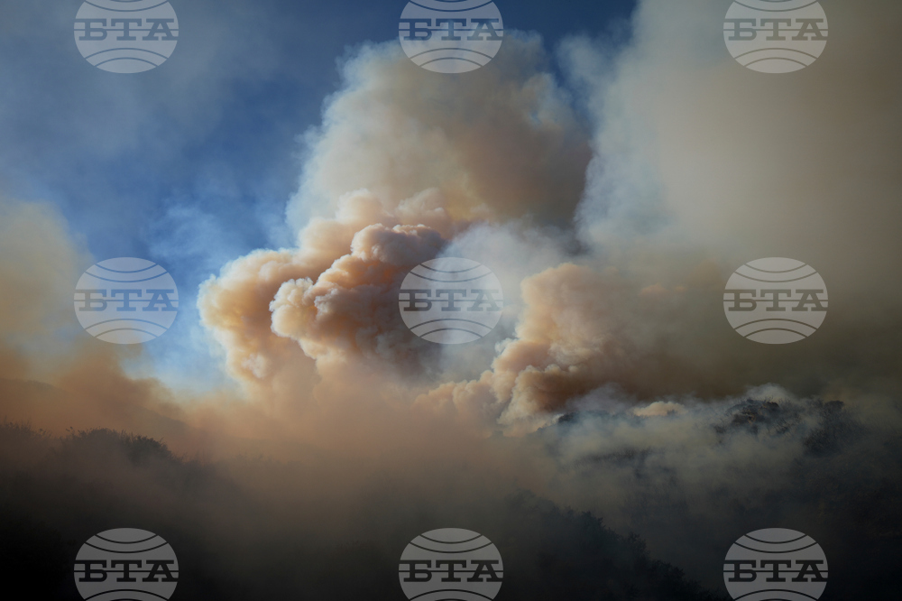 Climate Wildfires Deaths