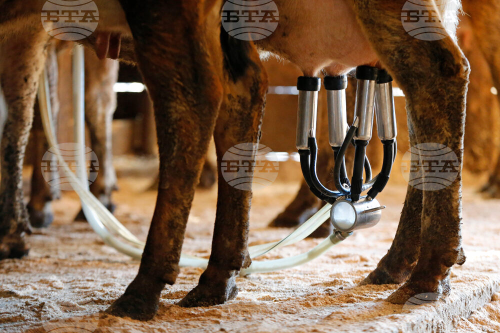 Raw Milk Listeria Death