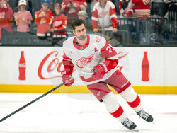 Redwings Utah Hockey