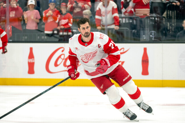 Redwings Utah Hockey