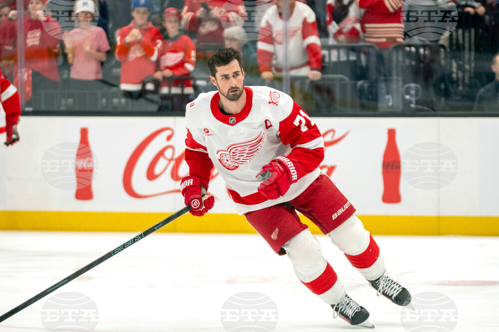 Redwings Utah Hockey