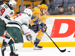 Wild Predators Hockey