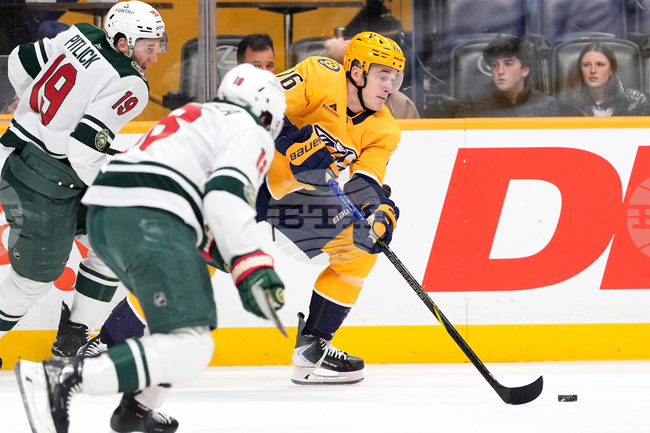 Wild Predators Hockey